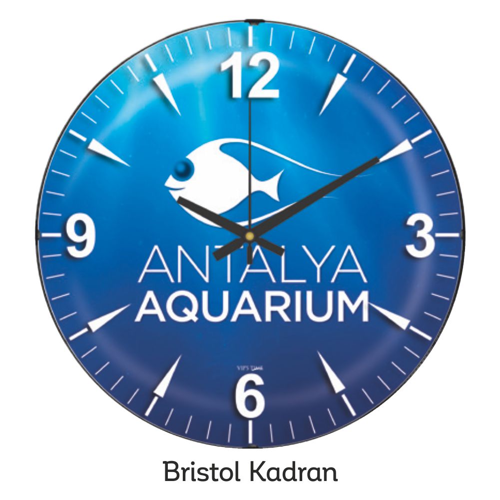 12265BRS Duvar Saatleri (35 cm)