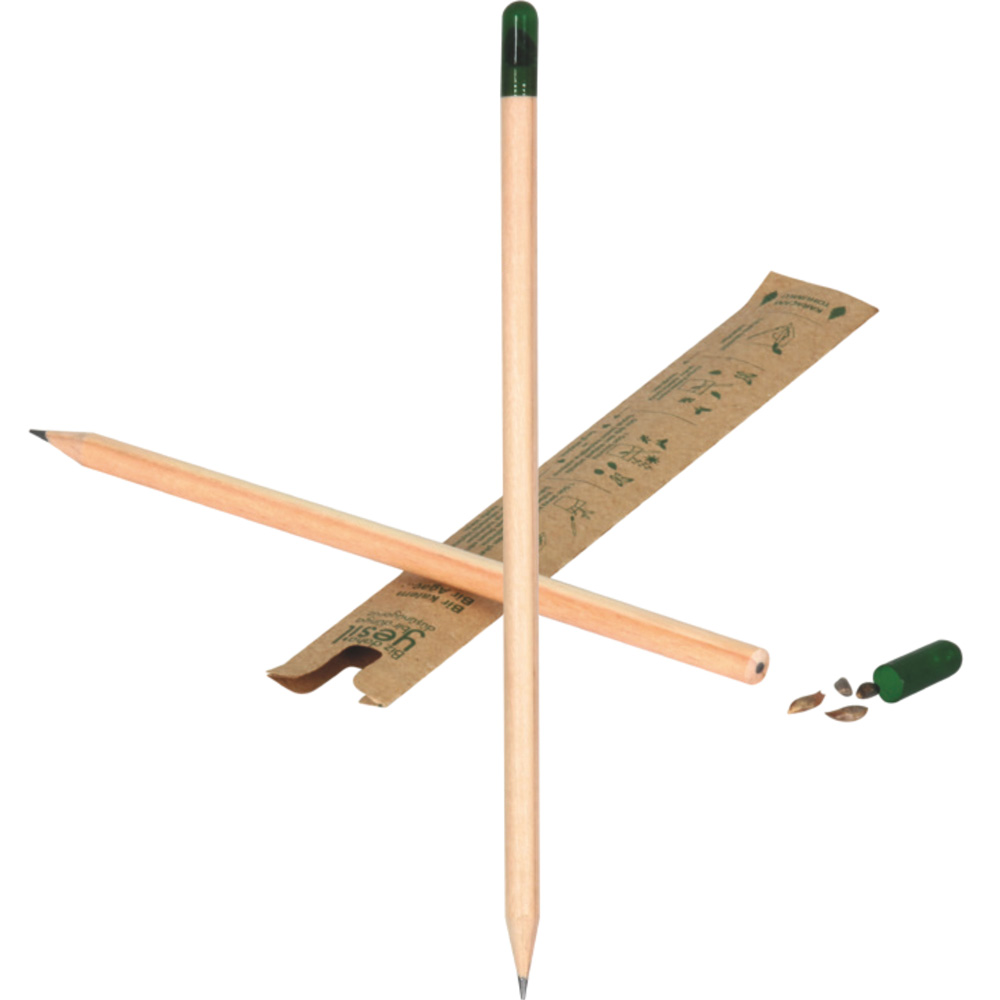 5670NTR Tohumlu Kurşun Kalem